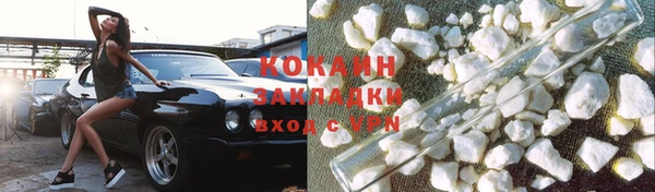 мяу мяу мука Бородино