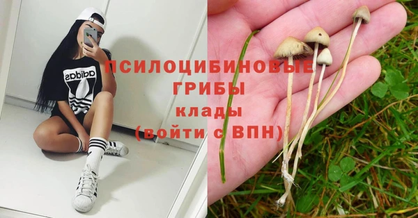 мяу мяу мука Бородино