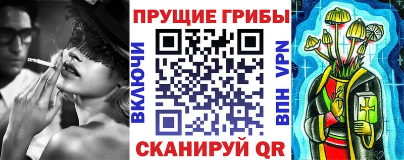 Галлюциногенные грибы Psilocybe Купить закладки Верхняя Тура